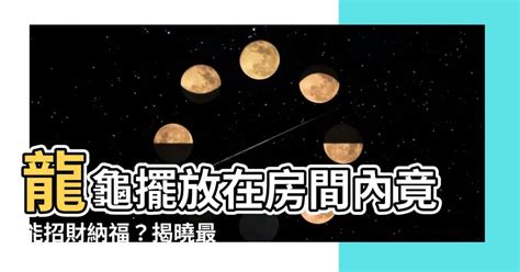 龍龜擺放位置2023|2023年龍龜的擺放方法及禁忌 